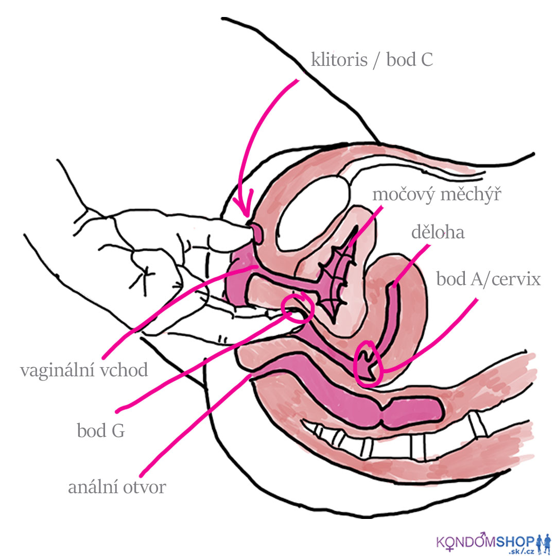 ženská anatomie vagina, bod c, bod g, bod A
