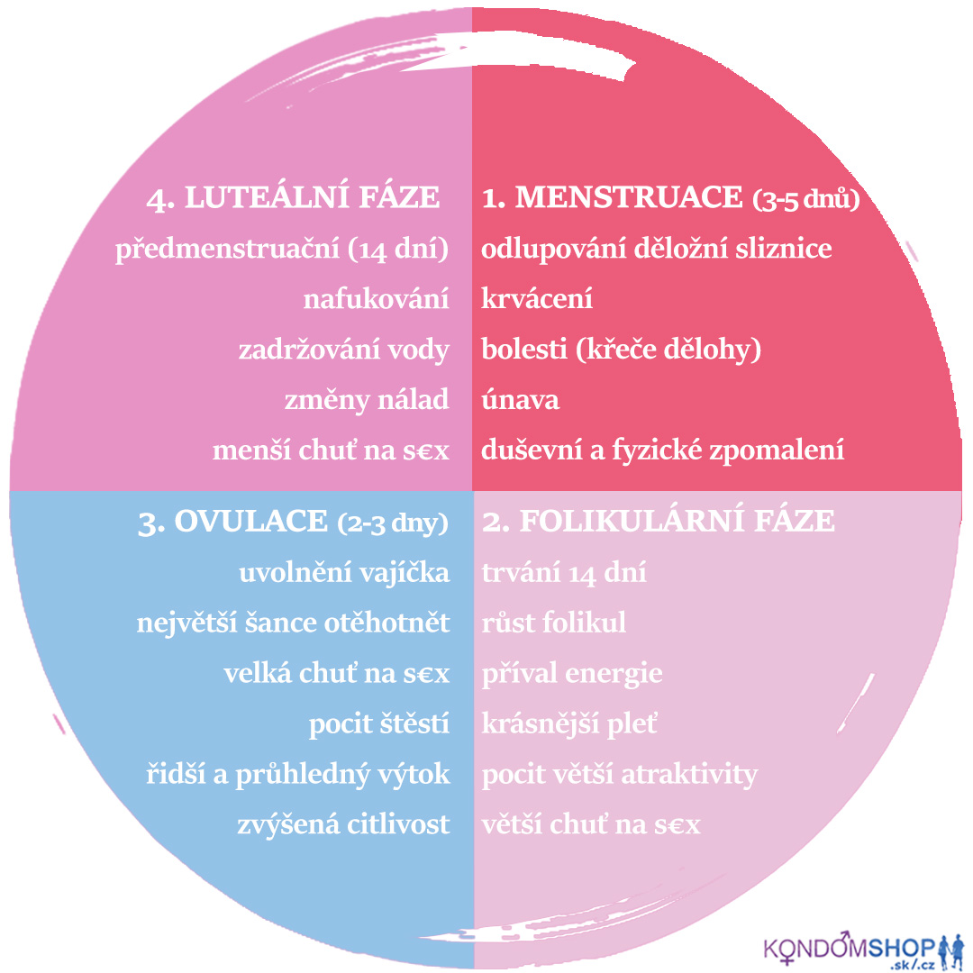 menstruace fáze a příznaky