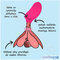 ako-funguje-lelo-sona-2-sonicky-stimulator-klitorisu-1