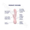 satisfyer-mono-flex-rabbit-vibrátor-bluetooth-pink-3