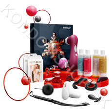 Satisfyer Advent Calendar 2022 Deluxe