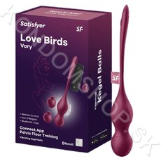 Satisfyer Love Birds Vary